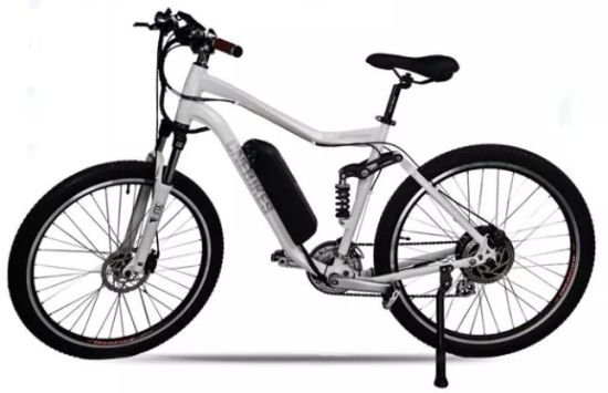 Ebike 48V 10ah / 36V 12.5ah 리튬 이온 배터리 충전기 USB 포트 포함 1000W / 500W 전기 자전거