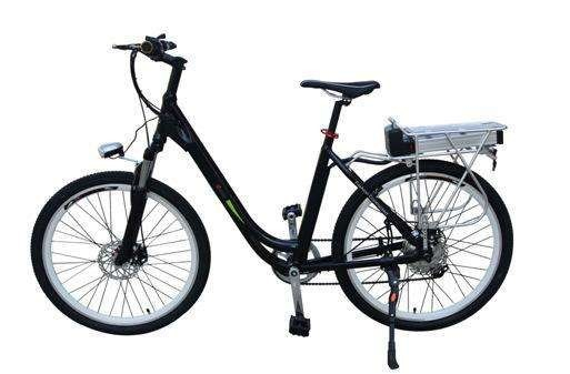 1000W 전기 자전거용 48V 15ah Ebike 리튬 이온 배터리