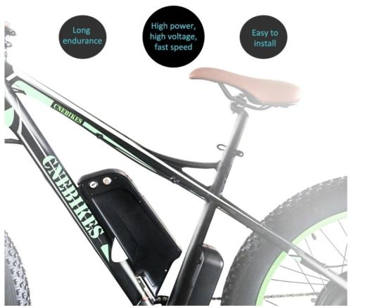 전자 자전거 전기 자전거 배터리 용 긴 수명주기 돌고래 유형 48V 10ah 리튬 이온 배터리 팩